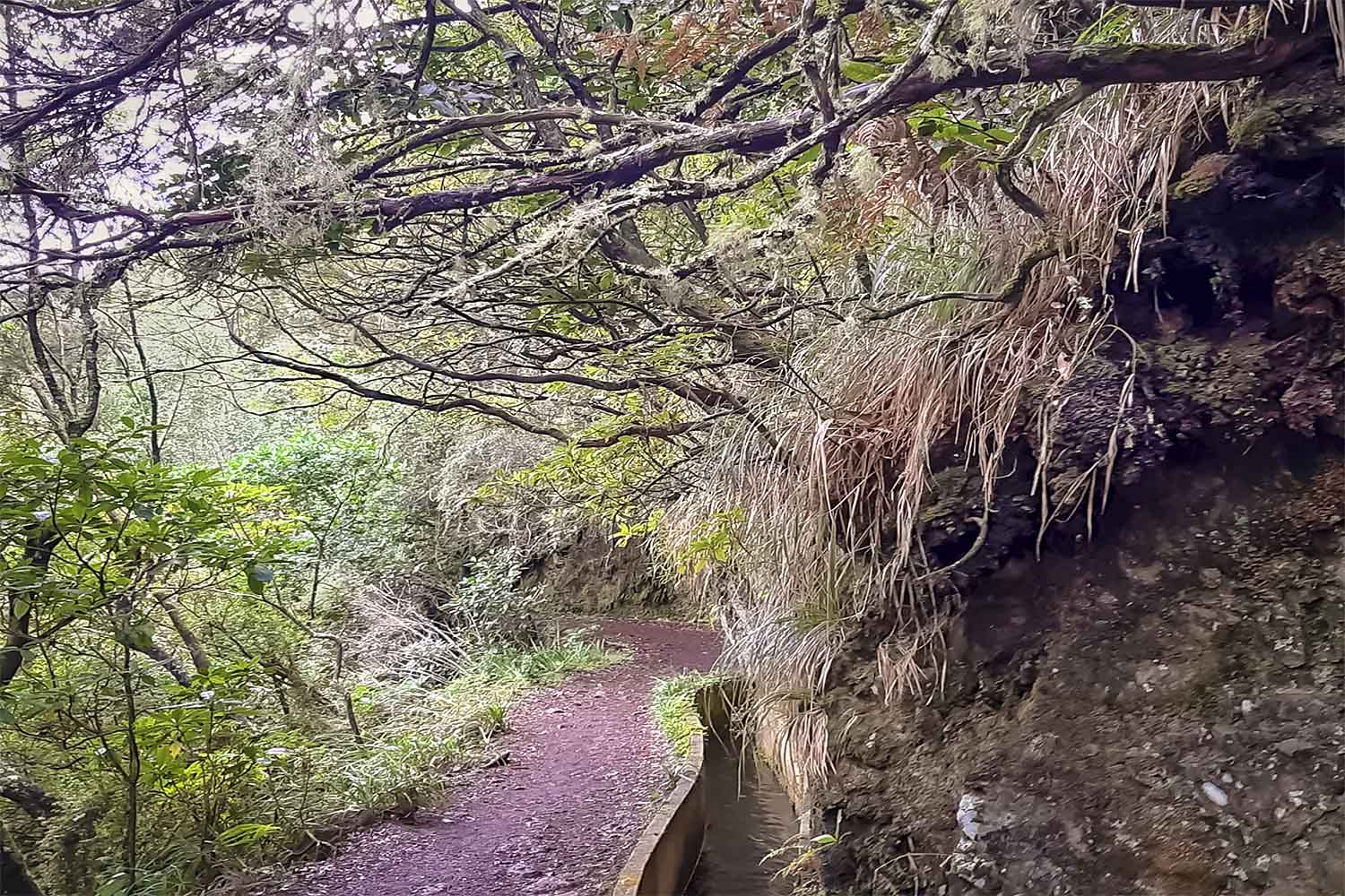 Ribeiro Frio – Portela Walk