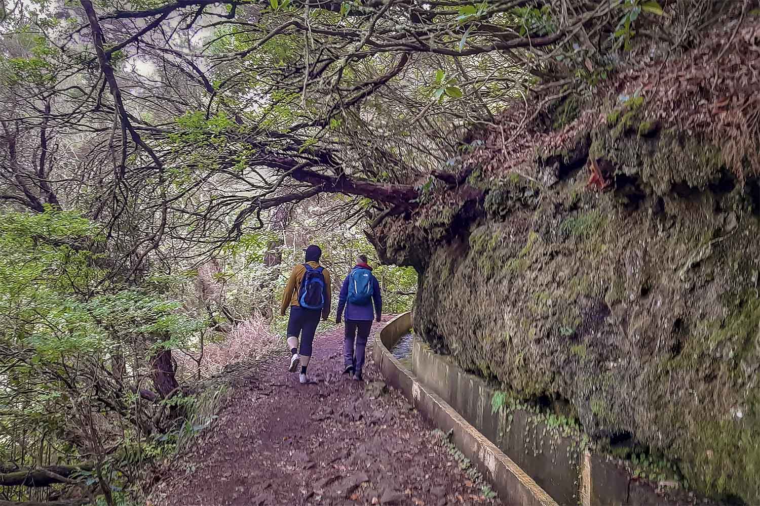 Ribeiro Frio – Portela Walk