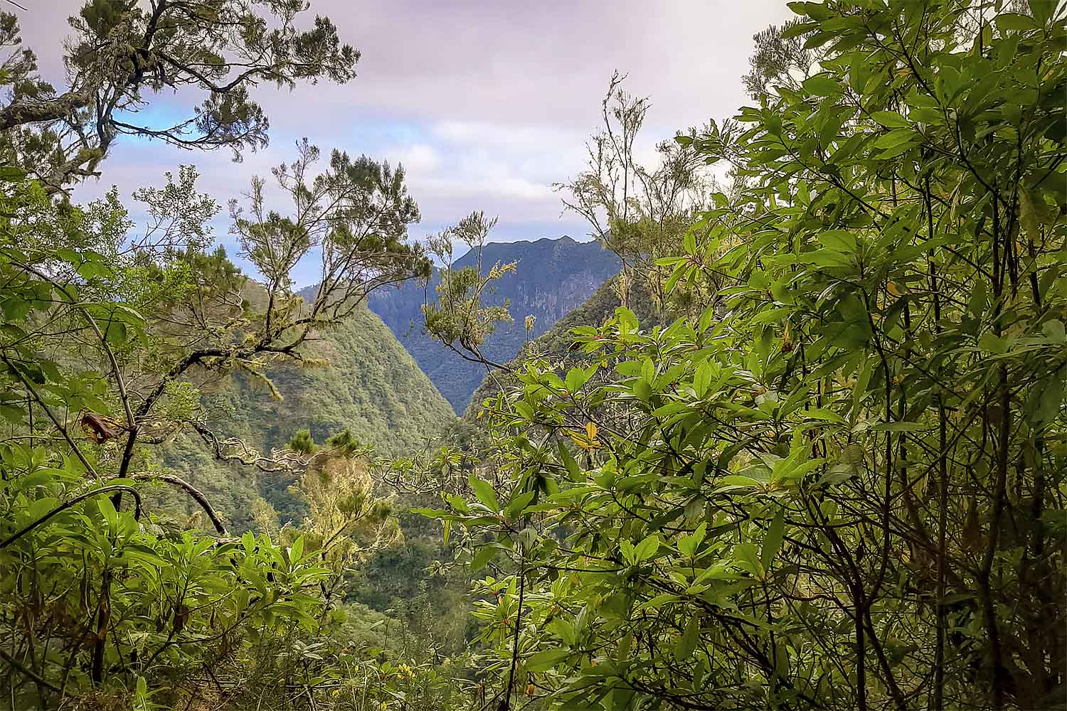 Ribeiro Frio – Portela Walk