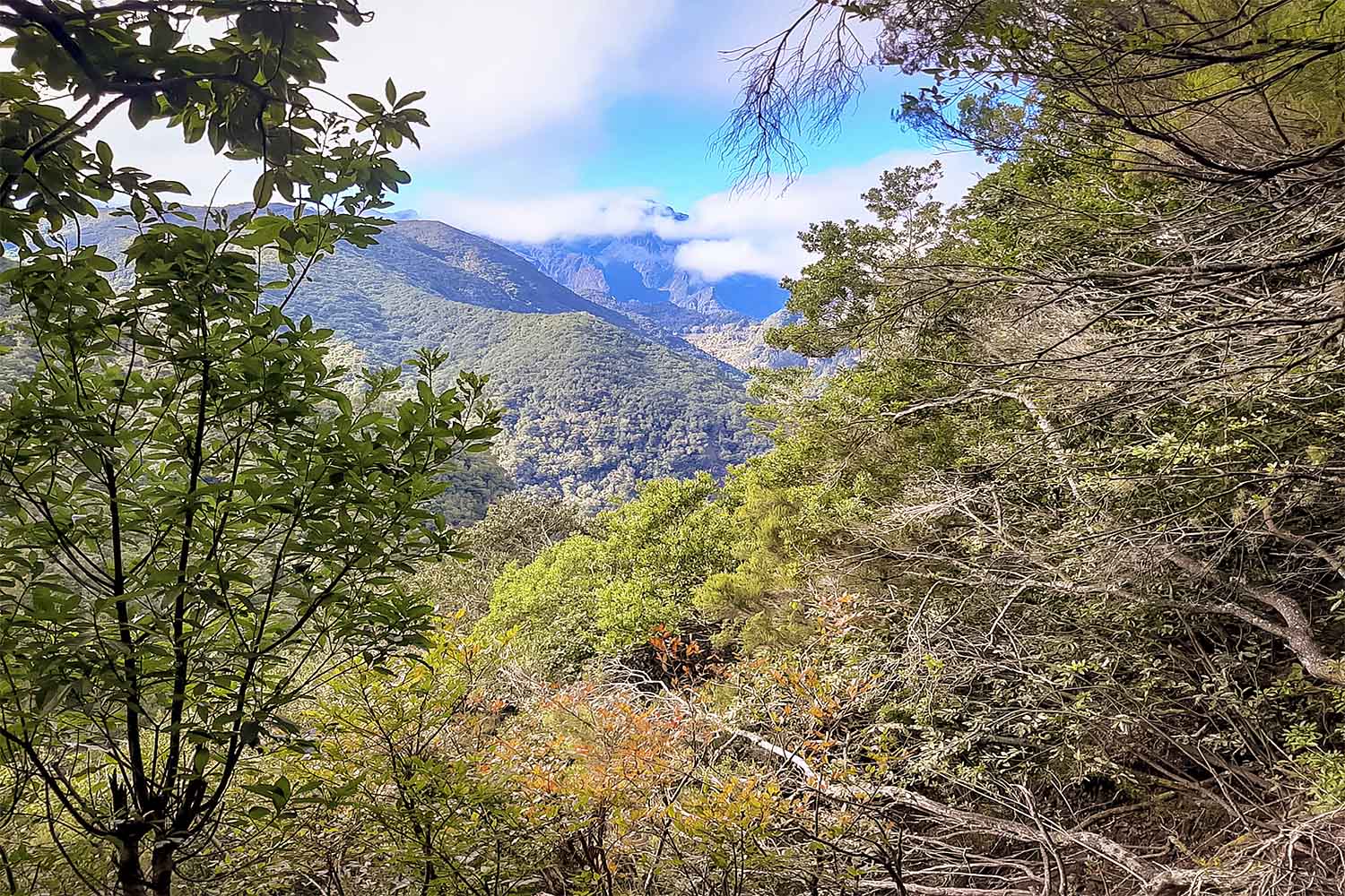 Ribeiro Frio – Portela Walk