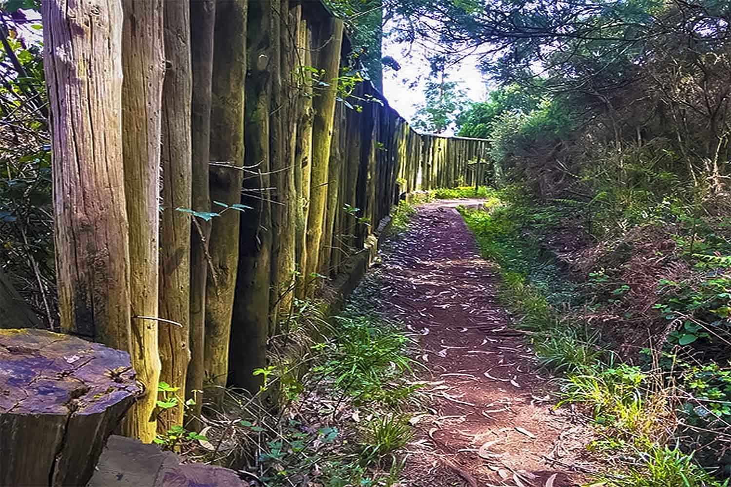 Santo da Serra – Levada da Serra do Faial Walk