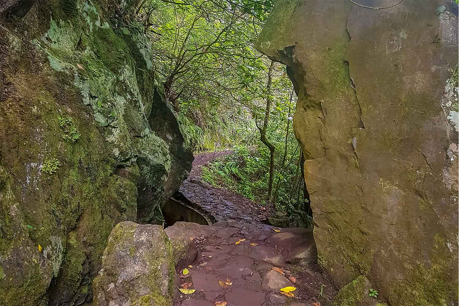 Santo da Serra – Ribeiro Frio Walk