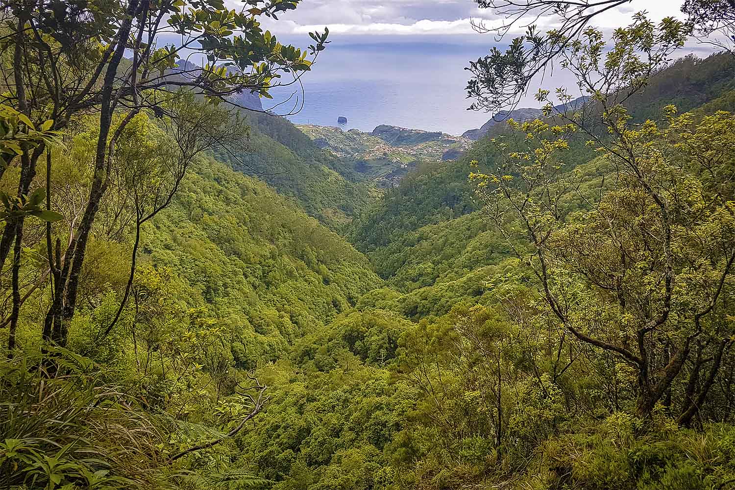 Santo da Serra – Ribeiro Frio Walk