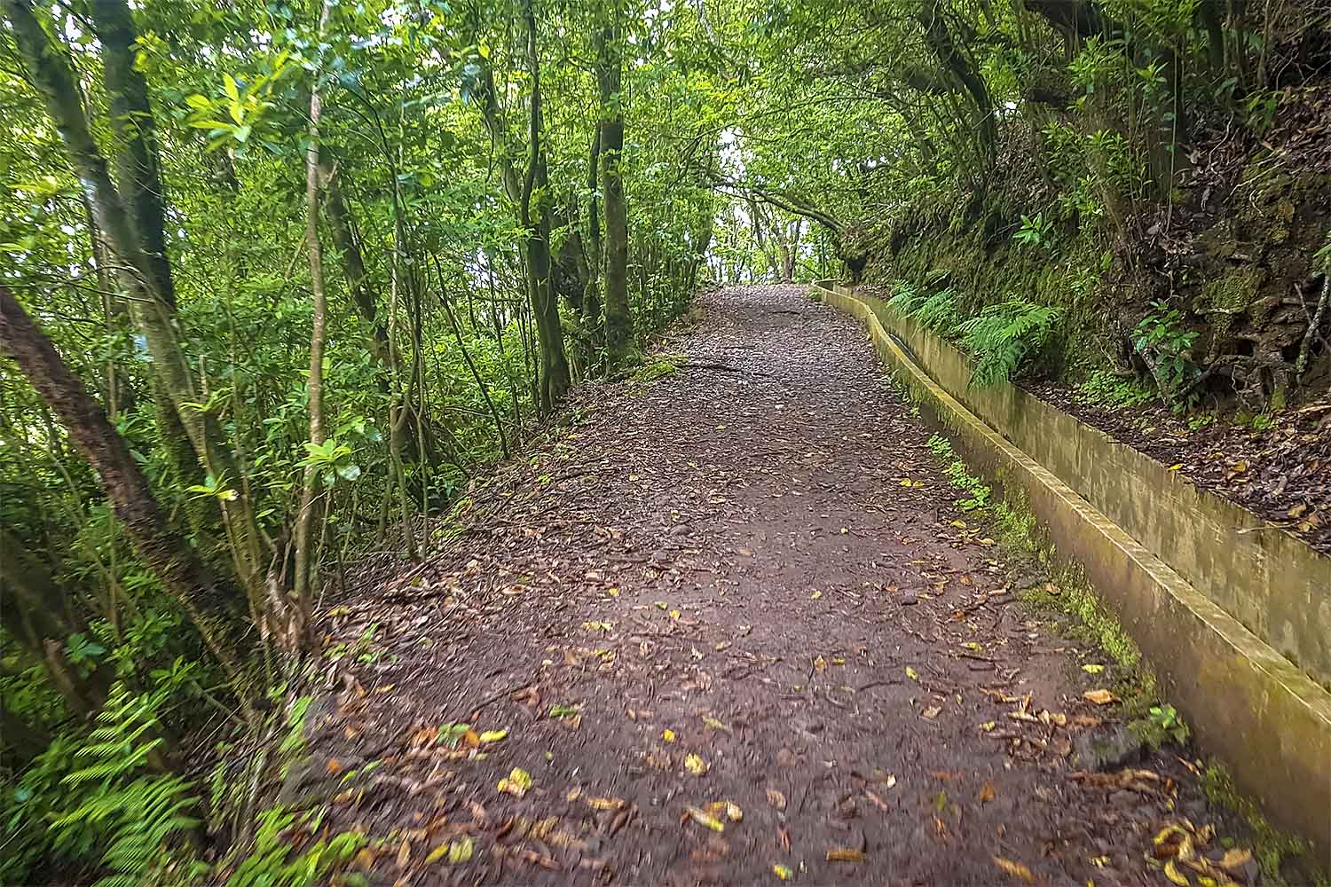 Santo da Serra – Ribeiro Frio Walk