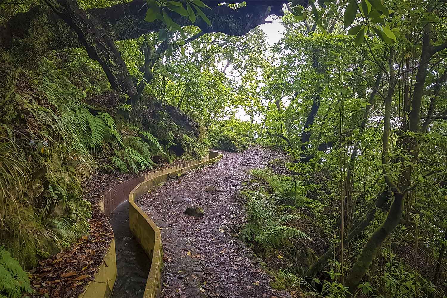 Santo da Serra – Ribeiro Frio Walk