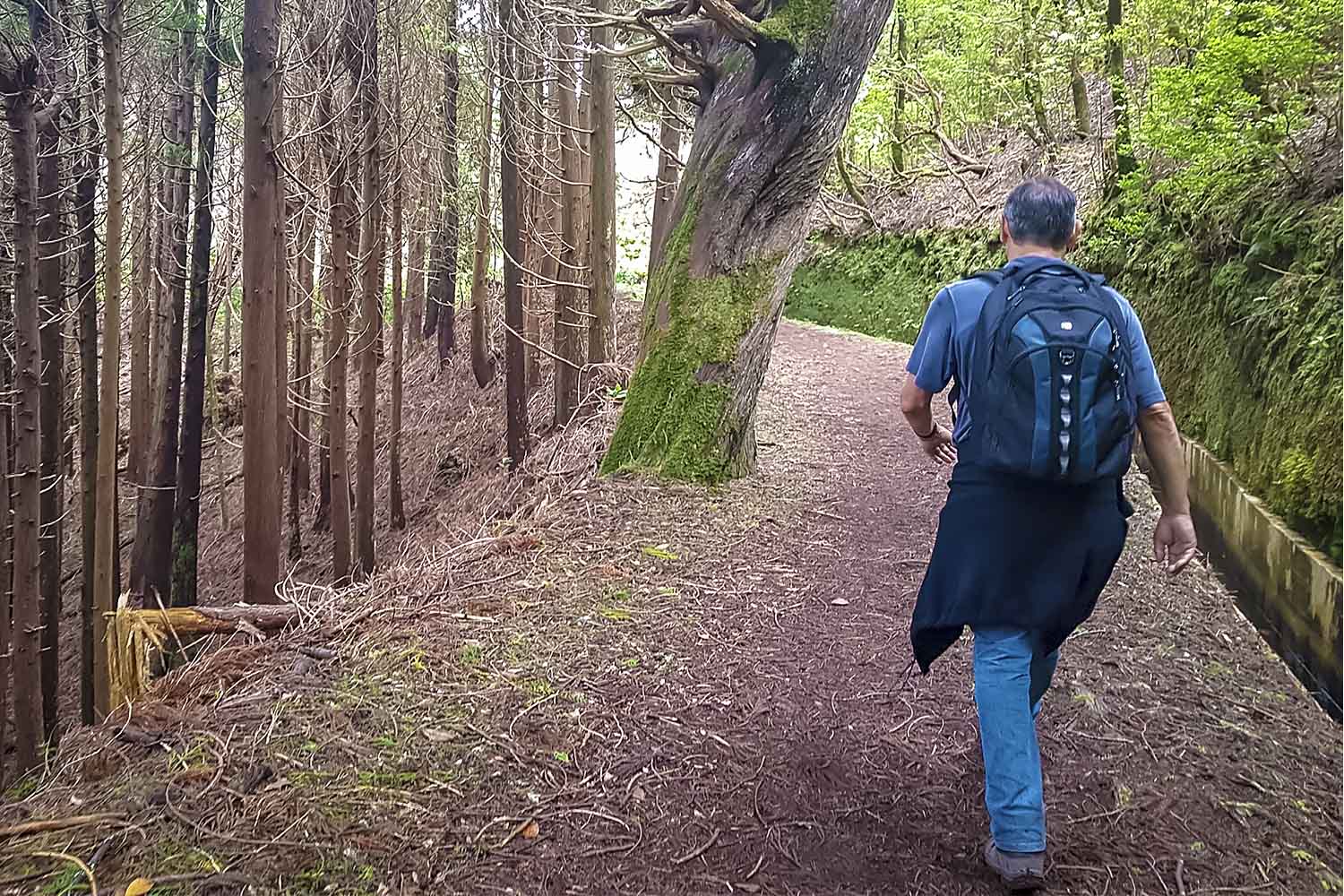 Santo da Serra – Ribeiro Frio Walk