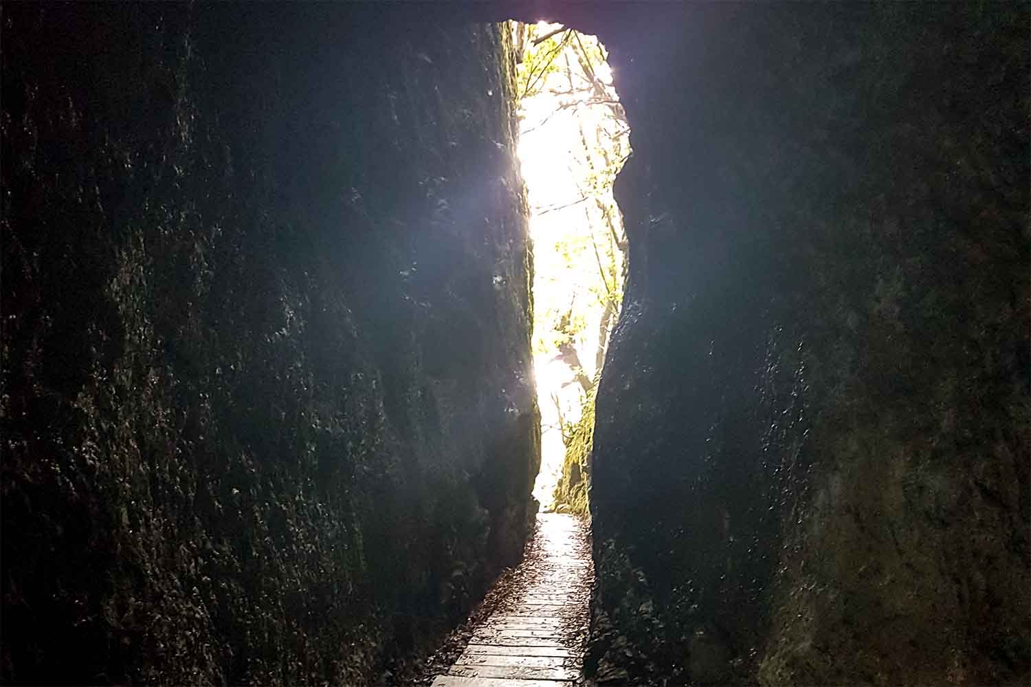 Santo da Serra – Ribeiro Frio Walk