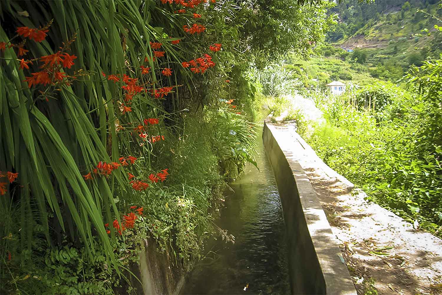 VALE DA SERRA DE ÁGUA WALK