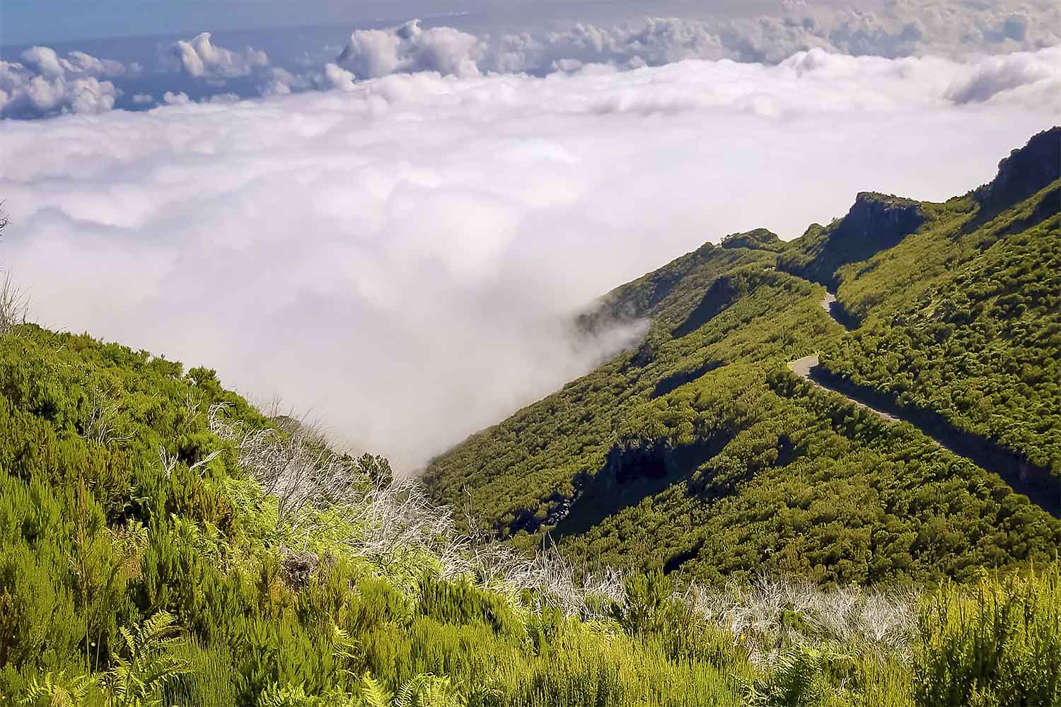 Vereda Achadas do Teixeira – Pico Ruivo