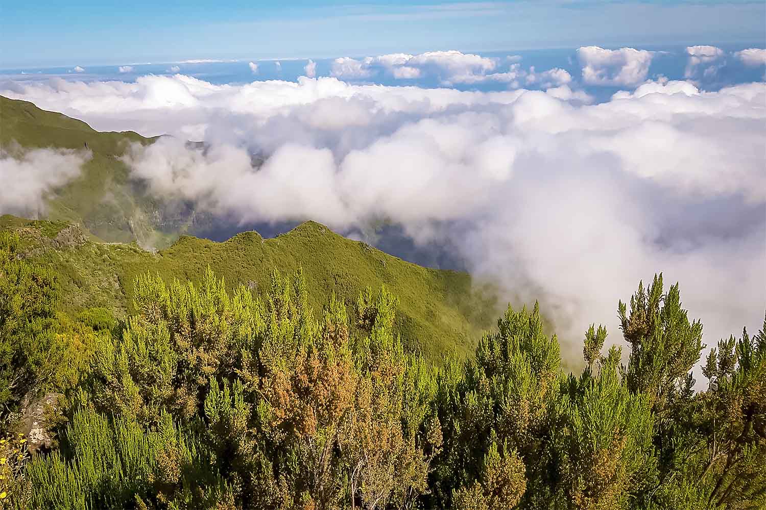 Vereda Achadas do Teixeira – Pico Ruivo