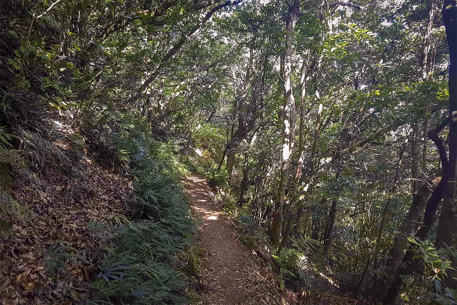 Vereda das Funduras Walk