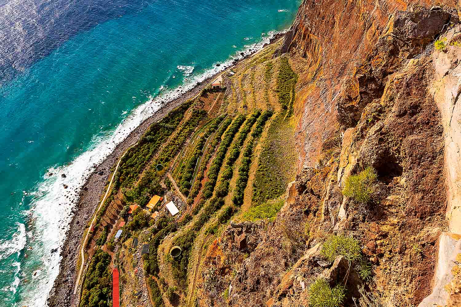 Madeira Wine Tour