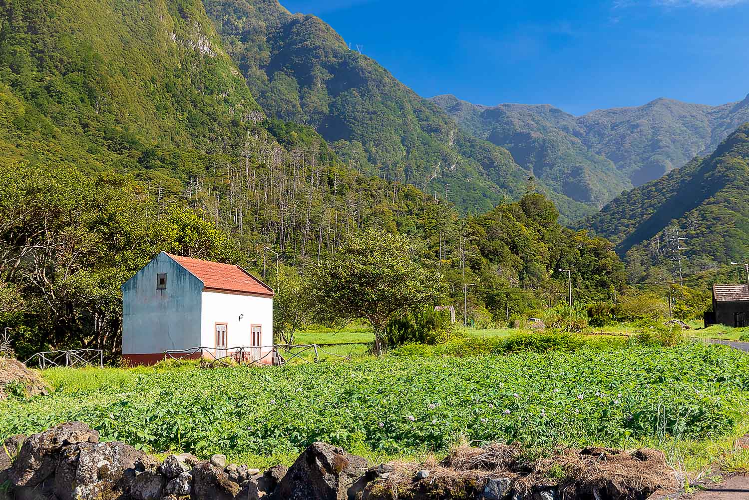 North Tour - Half Day