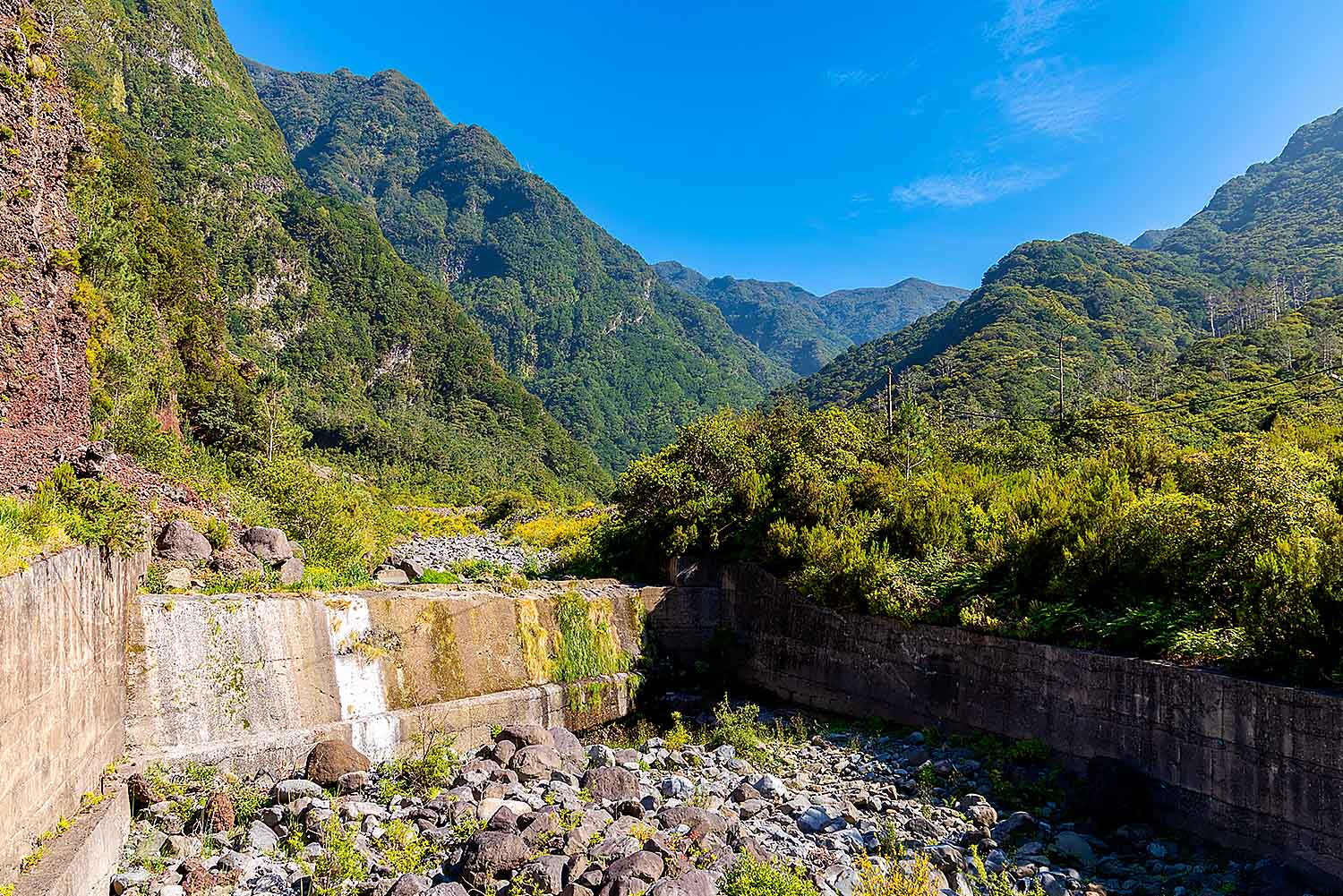 North Tour - Half Day