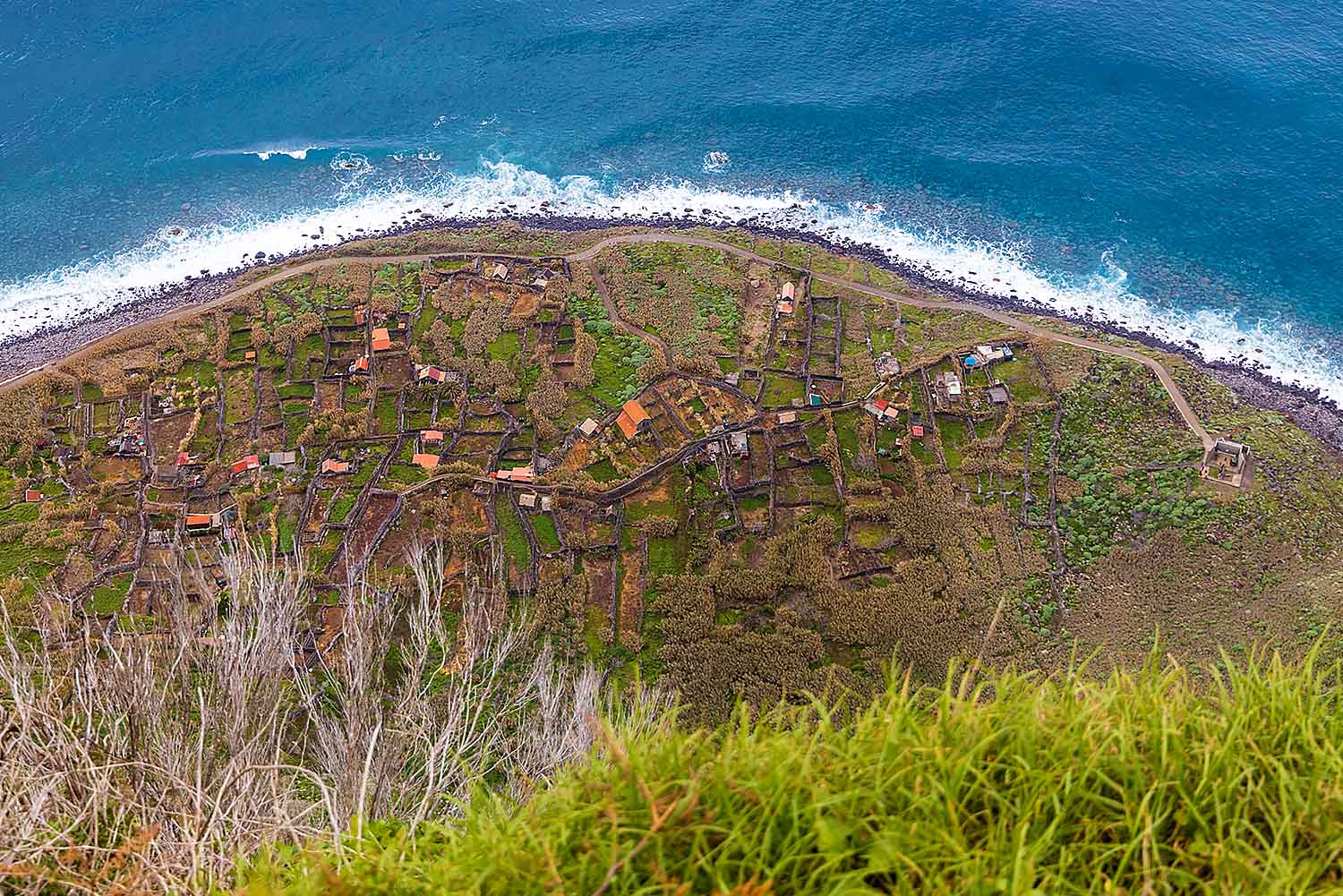 North Tour - Half Day