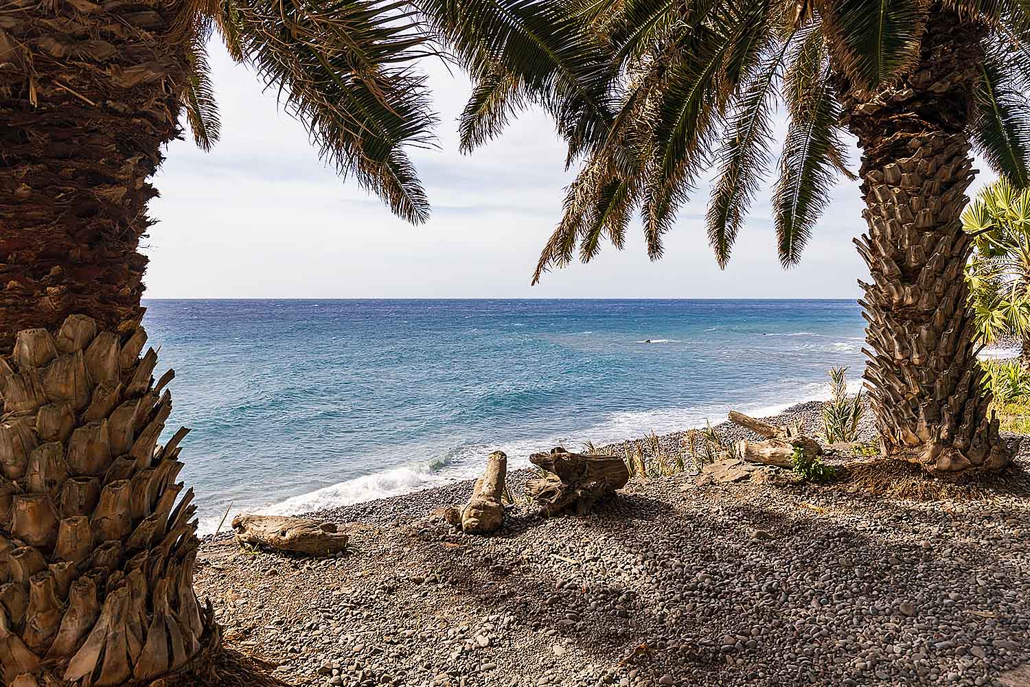 South Tour - Half Day