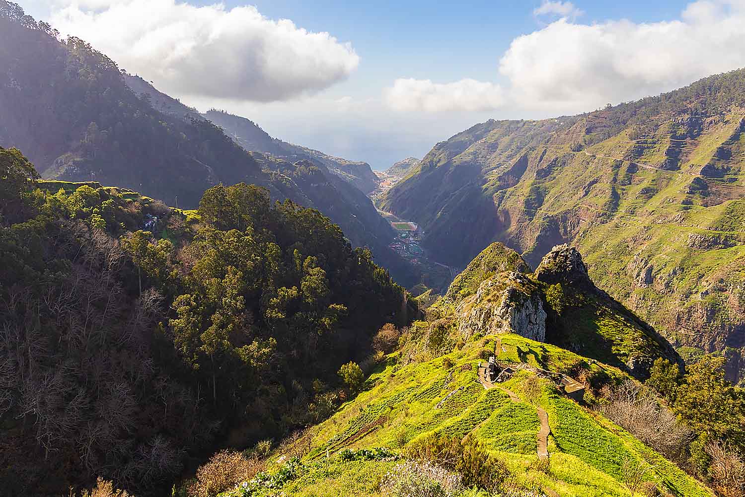 The Sagrada Família Tour
