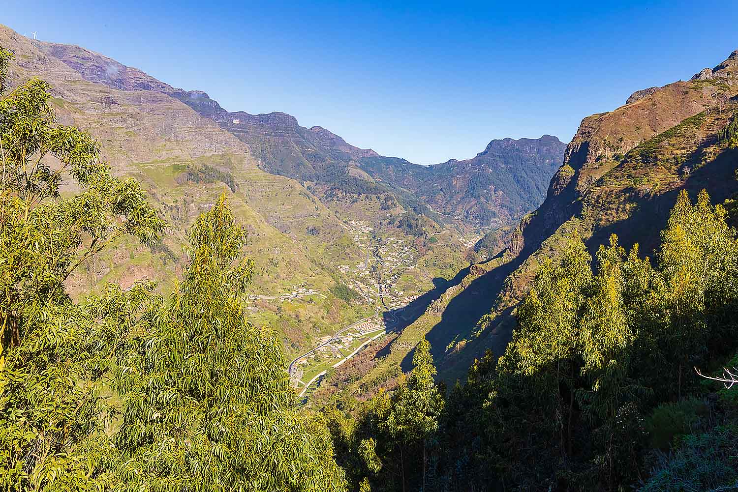 The Sagrada Família Tour