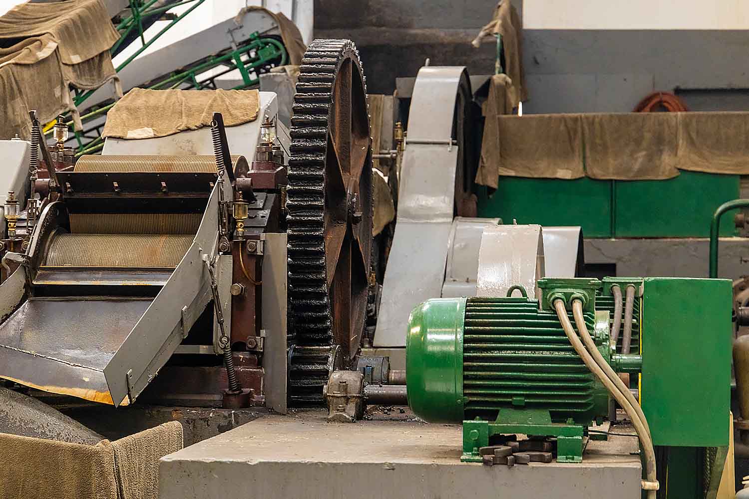 The Sugarcake and Honey Cake Tour