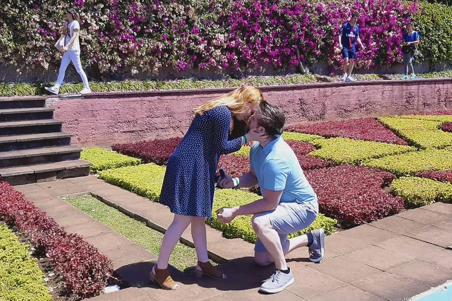 The Wedding Proposal