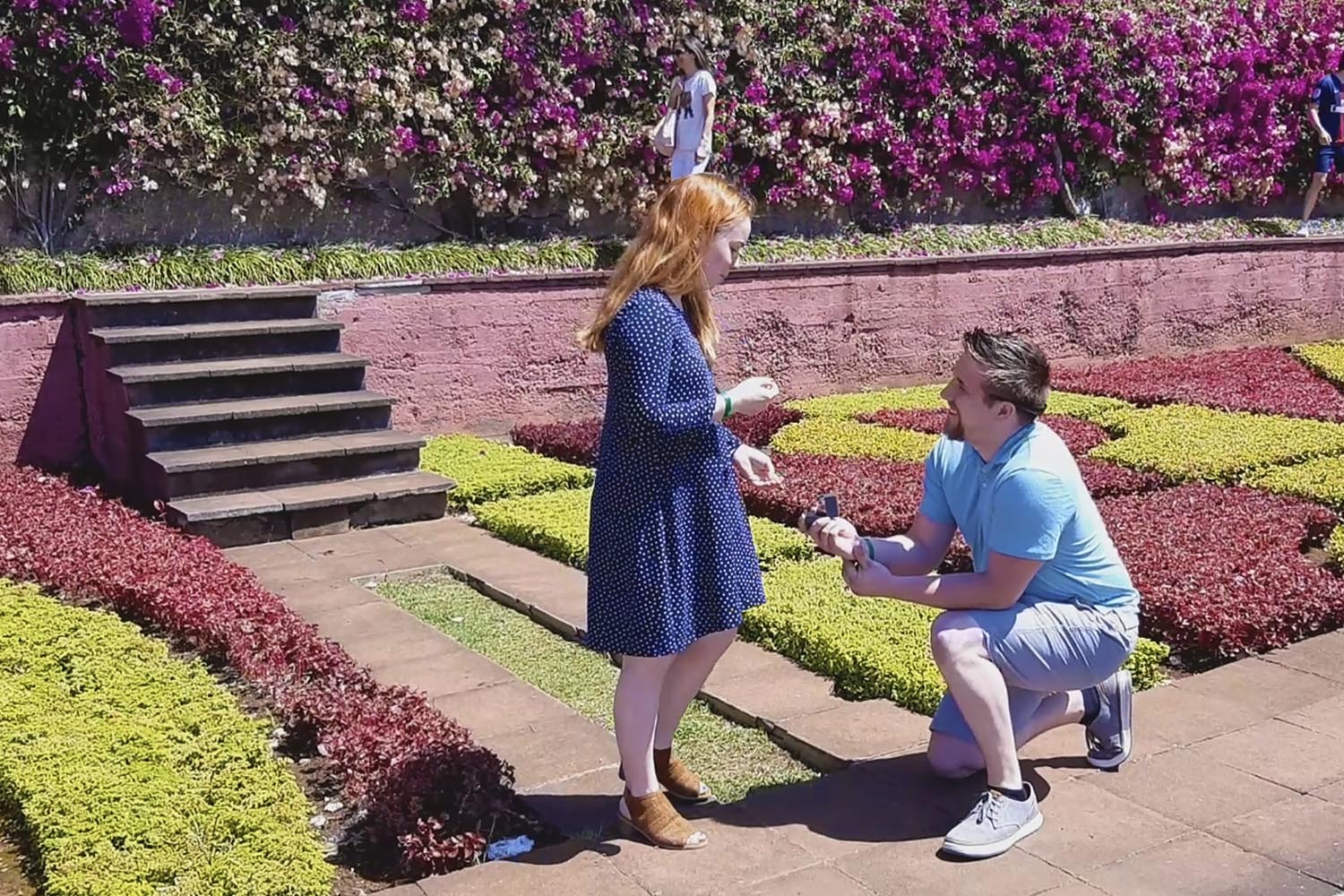 The Wedding Proposal