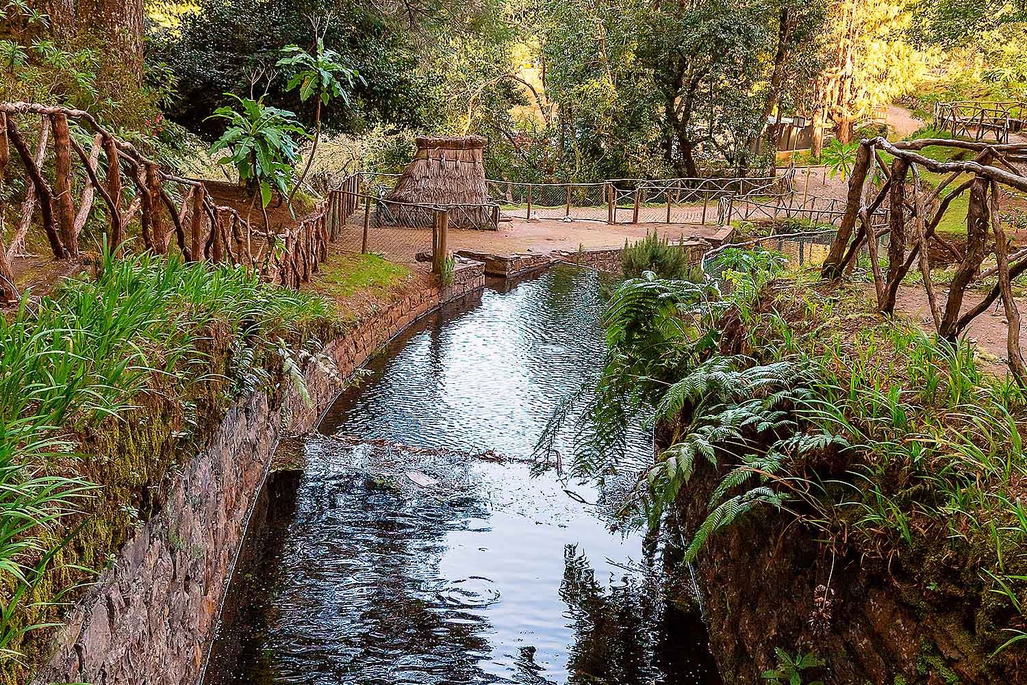 Typical Madeira Houses Tour