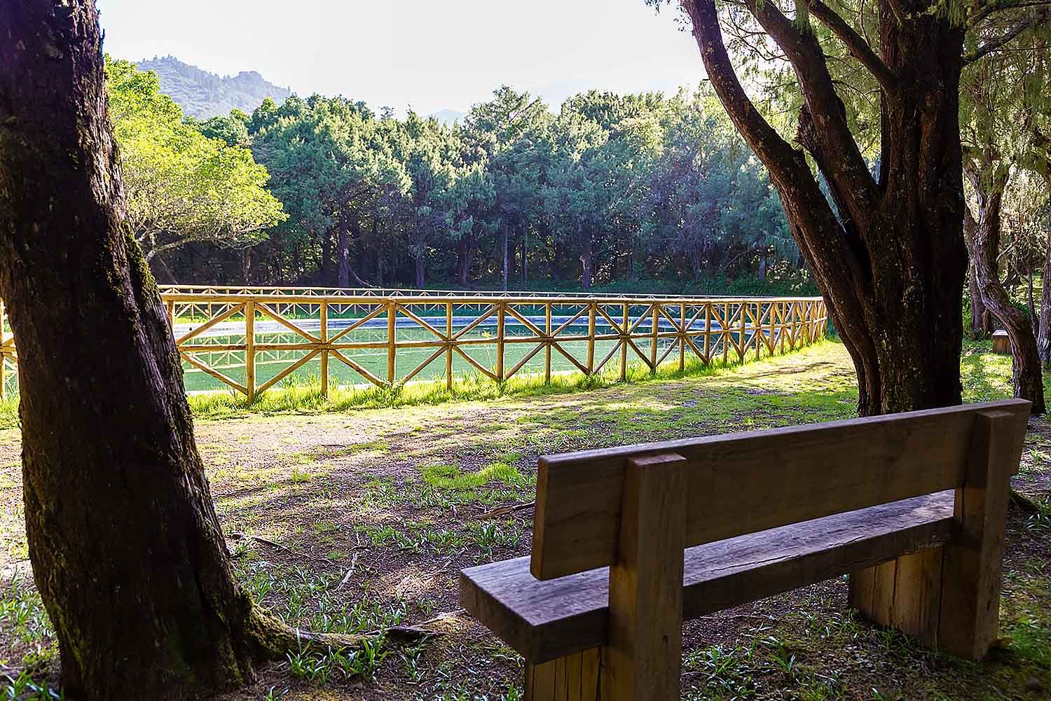 Typical Madeira Houses Tour