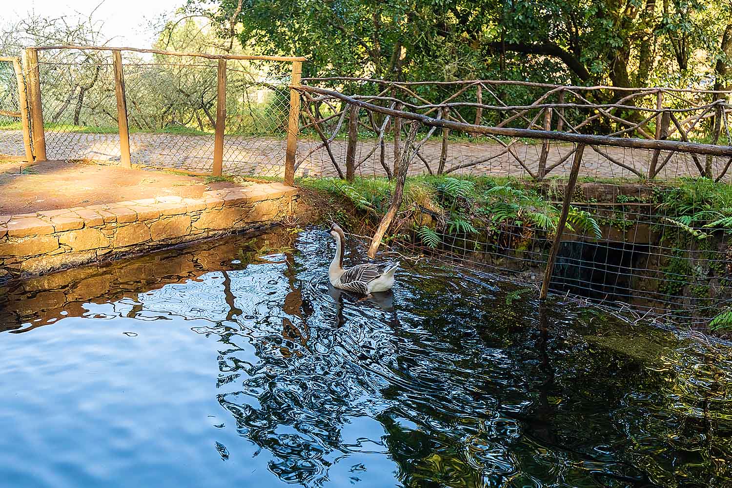 Typical Madeira Houses Tour