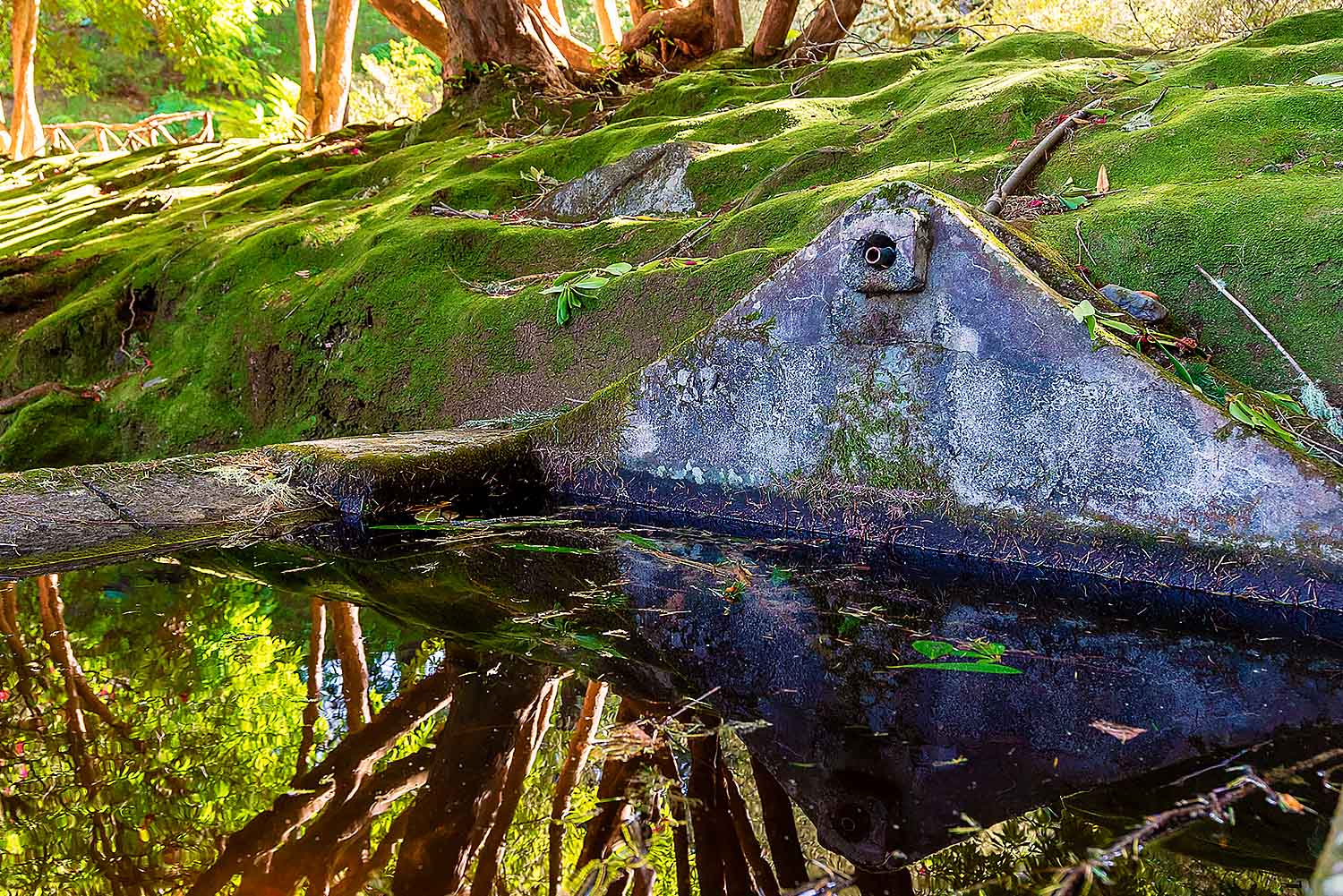 Typical Madeira Houses Tour